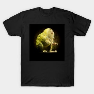 Marmoset T-Shirt